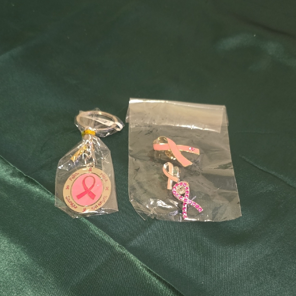 Breast Cancer Pink Ribbon Keychain and Pin Set